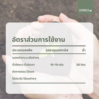 500G/1KG แมงกานีสซัลเฟต จุลธาตุแมงกานีส32% (แมงกานีส ซัลเฟต, ธาตุแมงกานีส32%) / Manganese sulfate monohydrate - Chemrich