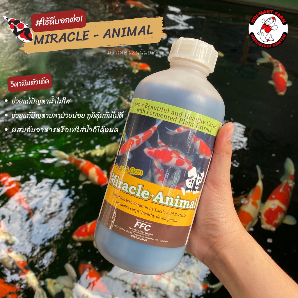 Miracle Animal ตัวช่วยพัฒนาสุขภาพของปลาและเพิ่มภูมิคุ้มกัน นำเข้าจากประเทศญี่ปุ่น ขนาด 1000ML