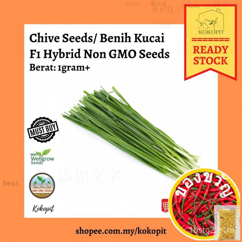 ซื้อใดๆ11ใน rm9.88top ขายพร้อมส่งเมล็ดกระเทียม | UOCS