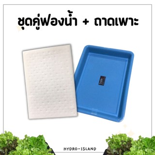 [ชุดคู่สุดคุ้ม] ถาดเพาะเมล็ดเนื้อหาพิเศษ และฟองน้ำเพาะเมล็ดเนื้อละเอียด 1 แผ่น