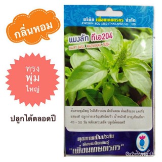 ผลิตภัณฑ์ใหม่ เมล็ดพันธุ์ เมล็ดพันธุ์แมงลัก (HAIRY BASIL SEEDS) กลิ่นหอม ทรงพุ่มใหญ่ แตกกิ่งแขนงดี โตเร็ว ปลูกง /ดอก ZNJ