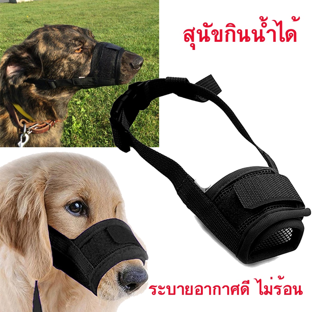 ตะกร้อครอบปากสุนัข ที่ครอบปากสุนัข ครอบปากหมา น้องหมาดื่มน้ำได้ ป้องกันการกัด เห่า สำหรับสุนัขพันธุ์