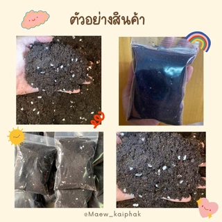 🌲พีทมอส สำหรับเพาะต้นกล้า ขนาด 50 กรัม ดินเพาะเมล็ด เพอร์ไลท์ เป็นวัสดุเพาะกล้าเหมาะกับไม้ดอก ไม้ประดับ พืชผัก