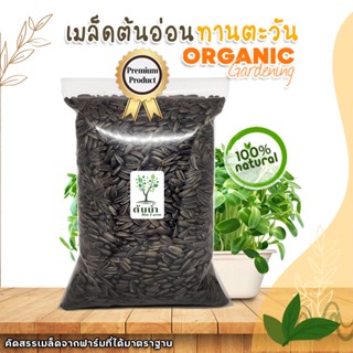 เมล็ดต้นอ่อนทานตะวัน เกรดนำเข้า เมล็ดพันธุ์ผัก ปลอดสาร เมล็ด…