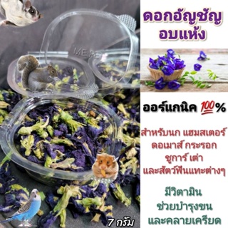 ดอกอัญชันอบแห้ง อาหารเสริมสำหรับนก หนู กระรอก ชูการ์ และสัตว…