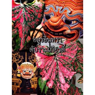 อสูรอินทรา&amp;อสูรเพตา ตับรามเกียรติ์