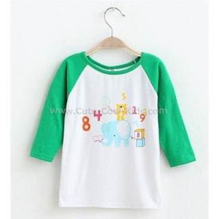 TLB-556 เสื้อแขนยาวเด็กชาย sweater สีเขียว