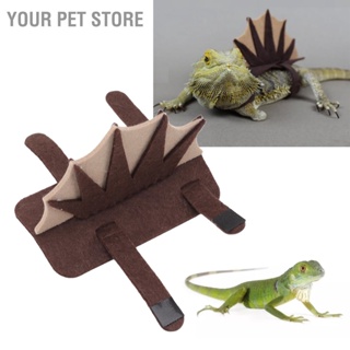 Your Pet Store เสื้อผ้าสัตว์เลื้อยคลาน จิ้งจก สัตว์เลี้ยง มังกรน่ารัก 3 สาย ปรับได้ เป็นมิตรกับผิวหนัง สําหรับคริสต์มาส ฮาโลวีน