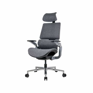 เก้าอี้เพื่อสุขภาพ Ergotrend Beyond Ergonomic Chair