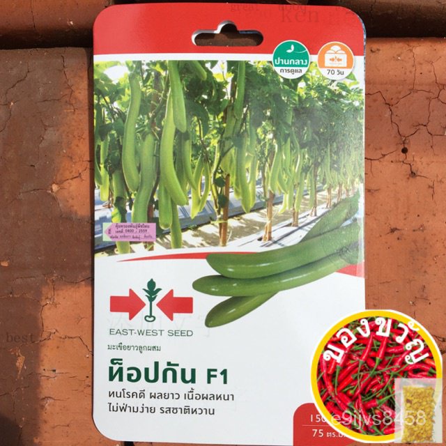 MINI Pack 150เมล็ด Top Gun เมล็ด F1มะเขือยาวสีเขียว F1 HYBRID düred arrow EST SEED ข/ข OU7W