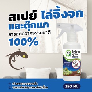 ไล่จิ้งจก B&amp;K Natural สเปรย์สมุนไพรไล่จิ้งจก ตุ๊กแก 250 ml./Gecko Free 250 ml. (เห็นผลชัดเจนหลังใช้จริง)