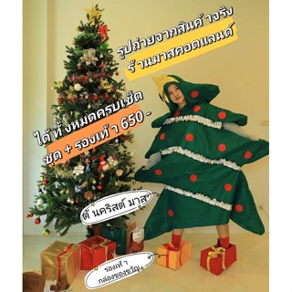 🌲ชุดต้นคริสต์มาส🎄มีสินค้าพร้อมส่ง🎄