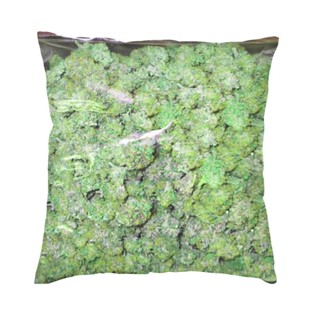 ปลอกหมอน ผ้ากํามะหยี่ ลาย Kush Komfort สไตล์โมเดิร์น สําหรับตกแต่งบ้าน โซฟา