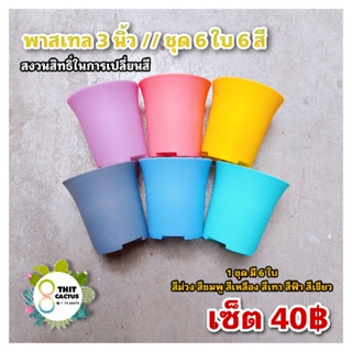 กระถาง JS พาสเทล 1 ชุด 6 ใบ 6 สี // กระถาง 3 นิ้ว -- กระถางแคคตัส กระบองเพชร กระถางพลาสติก