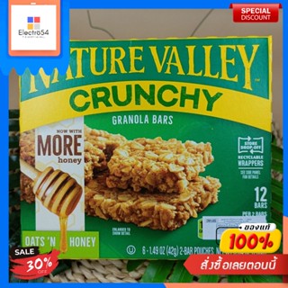 Granola Bars Honey Nature Valley 253 GBarres Granola Miel Nature Valley 253 G