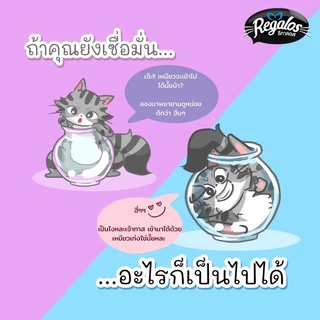 [หมดอายุ 09/2026] Regalos x Dr.Choice Cat Creamy Treats ❤️🐱 รีกาลอส ขนมแมวเลียเกรดพรีเมี่ยม บรรจุ 15g x 5หลอด
