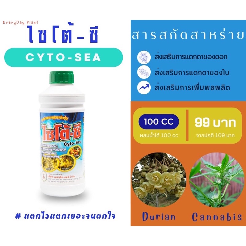 ไซโตไคนิน ฮอร์โมนพืชกระตุ้นการแตกตาพืชขนาด 100 cc