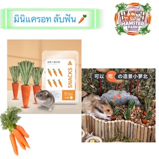 มินิแครอท แครอทลับฟัน สำหรับลับฟัน 🥕