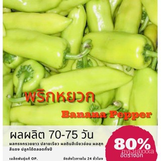 （คุณภาพสูง เมล็ด）เมล็ดพันธุ์ พริกหยวก Bell pepper พริก ✅ราคาถูกปลูกง่าย ปลูกไว้ทานกินเองซื้อ1/ง่าย ปลูก สวนครัว /ดอก MST