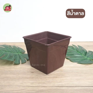 กระถางแคคตัส สี่เหลี่ยม 3 นิ้ว 50ใบ กระถางปลูกแคคตัส