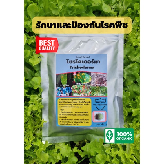 ไตรโคเดอร์มา Trichoderma 100,250 กรัม รักษาโรคพืช กำจัดโรคพืช ป้องกันโรคพืช  (ฉลากใหม่)