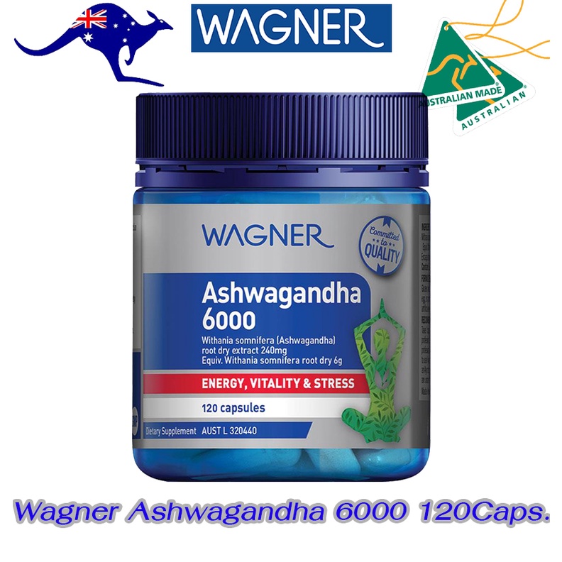 Wagner Ashwagandha 6000 120 Capsules โสมอินเดีย ฟื้นฟูร่างกาย เพิ่มพลังสมอง ลดความตรึงเครียดของเส้นประสาท ช่วยผ่อนคลาย