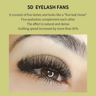 Glamlash ขนตาปลอม 0.07 มม. C/D 5D W 8-15 มม.