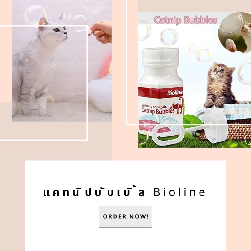 แคทนิปบับเบิ้ล Bioline