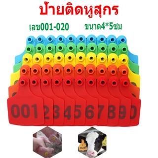 ป้ายเบอร์หู ป้ายเบอร์หูสัตว์ เบอร์หูหมู เบอร์หูวัว ป้ายติดหูหมู ป้ายติดแท็กหูสัตว์ทำสัญลักษณ์ เลข001-020