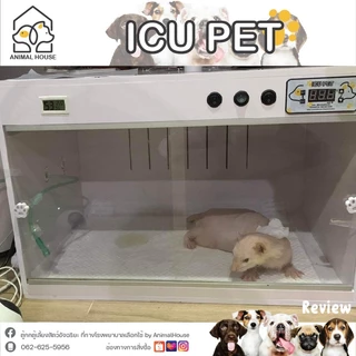 ตู้พ่นยา ตู้อนุบาลและพักฟื้นสัตว์เลี้ยง ให้ออกซิเจนขนาดใหญ่ ไซส์ L icu ขนาด หน้ากว้าง 60*สูง40ลึก40cm.