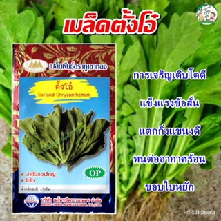 ผลิตภัณฑ์ใหม่ เมล็ดพันธุ์ จุดประเทศไทย ❤เมล็ดพันธุ์เมล็ดตั้งโอ๋ Garland Chrysanthemum เมล็ดอวบอ้วนตั้งโอ๋ ตั้งโอ/ขายด WM