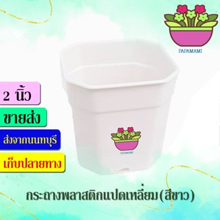 (10-100 ใบ)papamami กระถางพลาสติก กระถางขาว แปดเหลี่ยม 2นิ้ว กระดิ่ง กระถางปลูกต้นไม้ ที่ปลูกต้นไม้ กระถางแค็คตัส