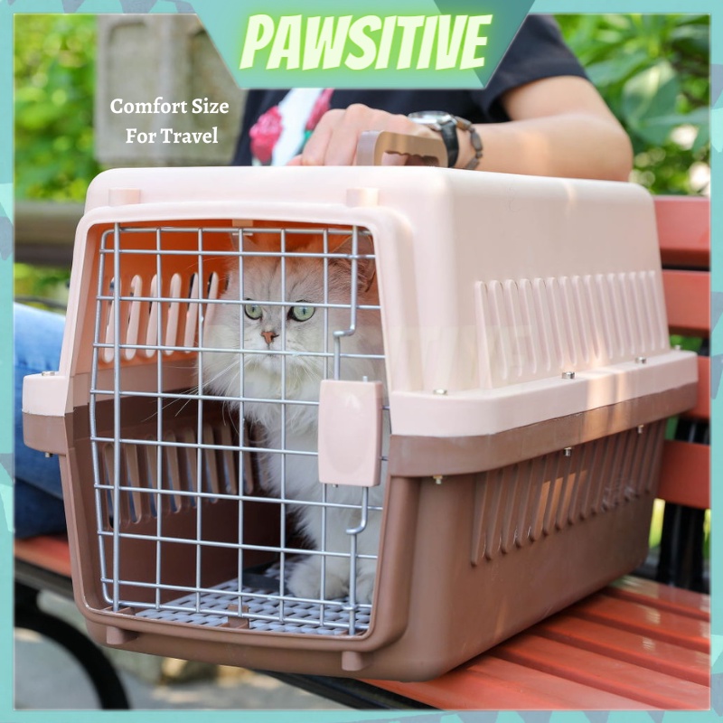 PAWSITIVE Cat Carrier CAGE/Cat Travel Carrier/Cat Travel CAGE/Pet Carrier/Bekas Kucing Travel/ผู้ให้