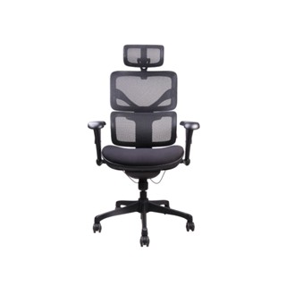 เก้าอี้เพื่อสุขภาพ Ergotrend DOOM-01BMF Ergonomic Chair