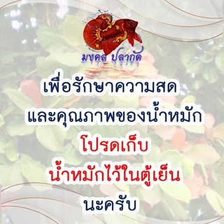 น้ำหมักใบหูกวางผสมสีเสียด สูตรพิเศษฝาดำ (ขนาด 1500 มิลลิลิตร)
