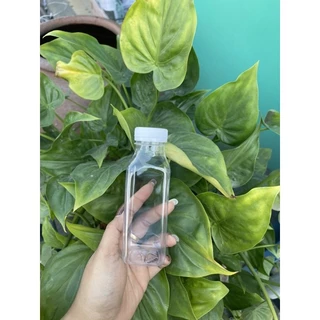 ((150ขวด))ขวดเปล่า เหลี่ยม 250 cc. ปาก34/จำกัด 2 แพคต่อ 1 คำสั่งซื้อเท่านั้น[250လေရာ34]