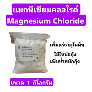 Magnesium chloride แมกนีเซียมคลอไรด์ ขนาด 1 กก.