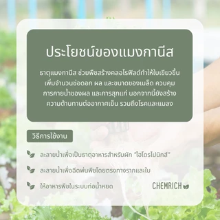500G/1KG แมงกานีสซัลเฟต จุลธาตุแมงกานีส32% (แมงกานีส ซัลเฟต, ธาตุแมงกานีส32%) / Manganese sulfate monohydrate - Chemrich