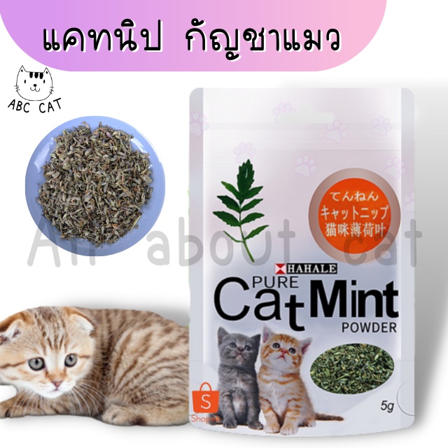 [ABC cat] [ แคทนิปซองขาว ] ผงแคทนิปละเอียด ผงแคทนิปหยาบ แมวฟิน แคทนิปแมวฟิน ของเล่นแมว