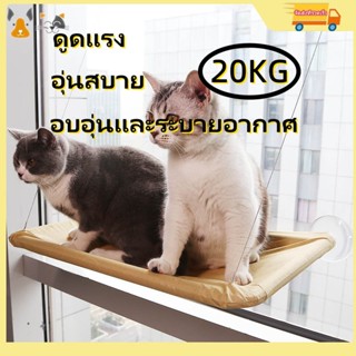 เปลแมวติดกระจก รับน้ำหนักได้ถึง 20 kg ที่นอนแมว บ้านแม ที่นอนสัตว์เลี้ยง