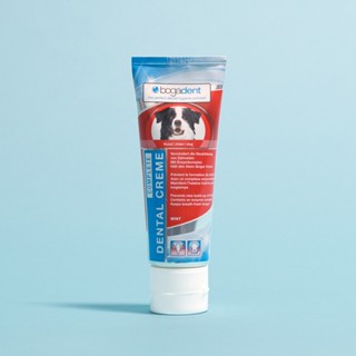 [bogar] bogardent DENTAL CREME COMPLETE for Dogs 75ml / ยาสีฟันเจล / การดูแลฟัน / การดูแลช่องปาก