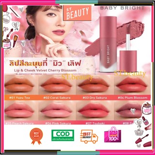 Baby Bright Lip &amp; Cheek Velvet Cherry Blossom เบบี้ ไบร์ท ลิปแอนด์ชีค เวลเวท เชอร์รี่ บลอสซั่ม