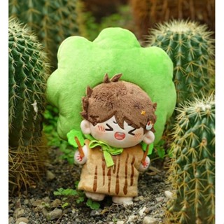 (พร้อมส่ง) ตุ๊กตาไฮคิว Haikyuu!! Oikawa Toru โออิคาวะ น้อง Xiao Che 15 cm (ตัวเปล่า ไม่มีชุด)