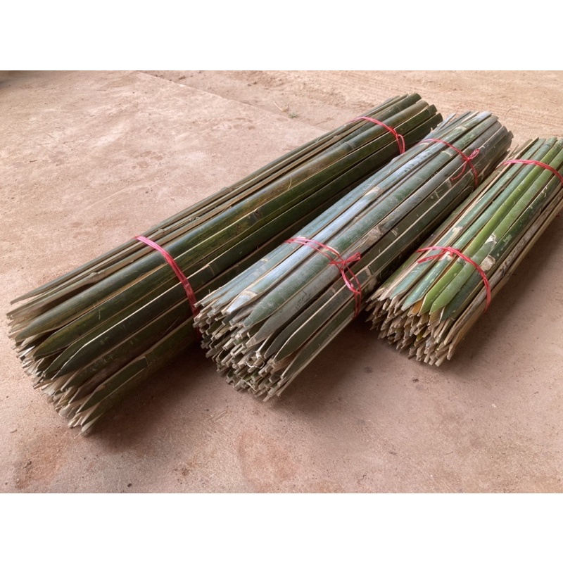 ไม้ไผ่ค้ำยันต้นไม้ ปลายแหลม ยาว1เมตร(100cm.)มัดละ10อัน *ต้องสั่งไม้ไผ่แยกกับสินค้าอื่น แพ็คสินค้าไม่ได้ค่ะ*
