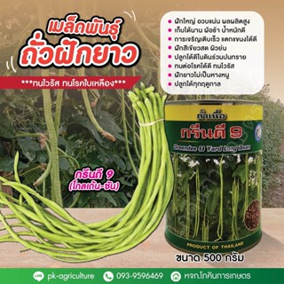 เมล็ดพันธุ์ถั่วฝักยาวกรีนดี 9 (โกลเด้น-ซัน) ขนาด 500 กรัม