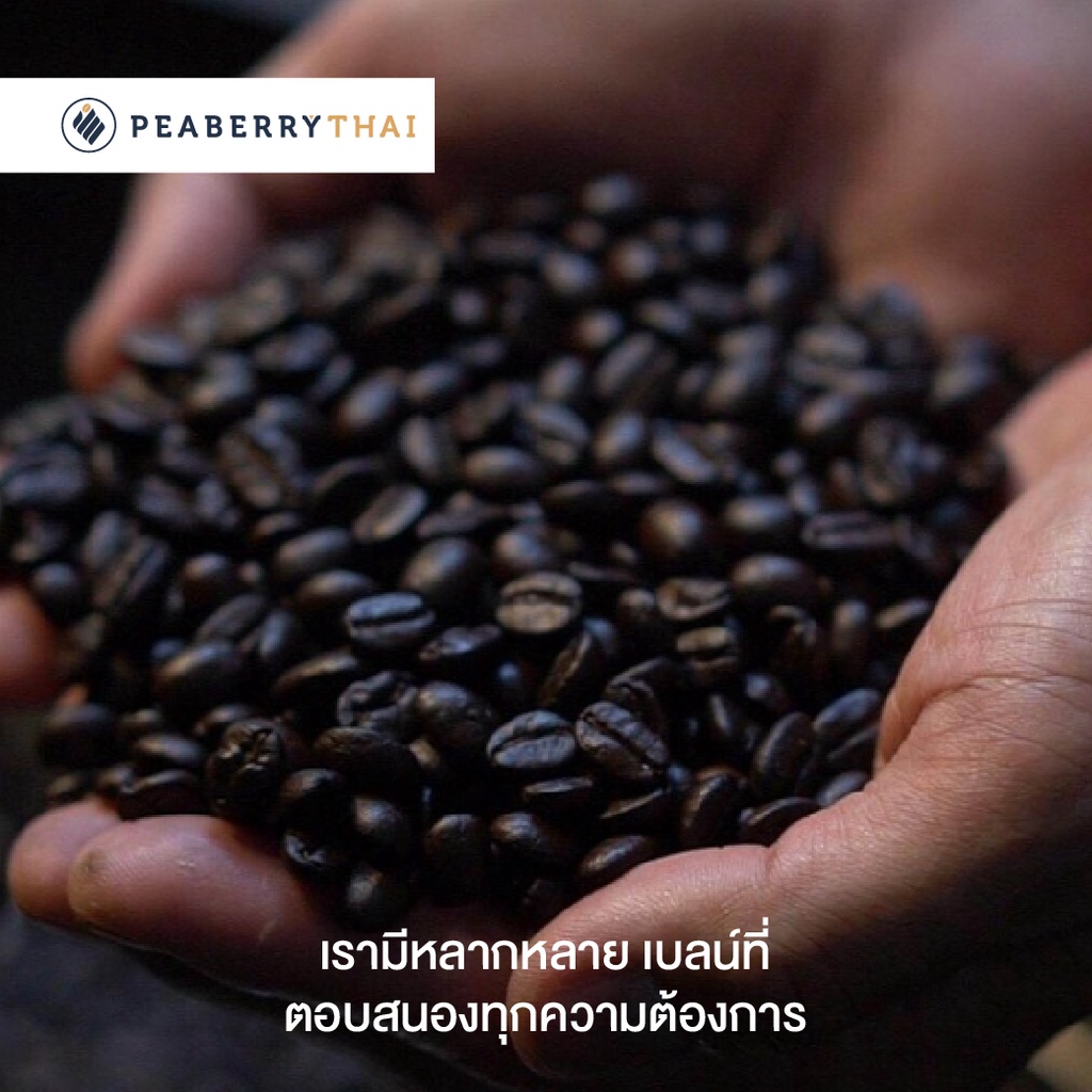 Pacamara House Blend 500g เมล็ดกาแฟไทย+นอก อาราบิก้า 100% คั่วกลาง ขนาดบรรจุ 500 กรัม