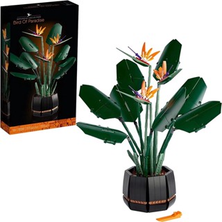 ⚡ส่งภายใน48ชม⚡ Puzzle Botanical Collection Bird of Paradise (1173ชิ้น)