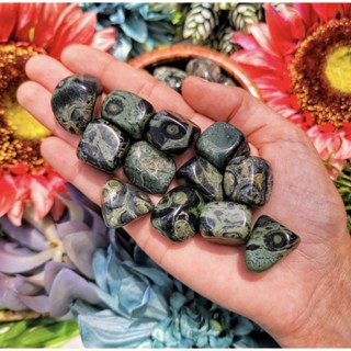 1Pc Natural Kambaba Jasper Polish Tumble Stone / powerful detoxifier and help boost the immune system, promoting health.