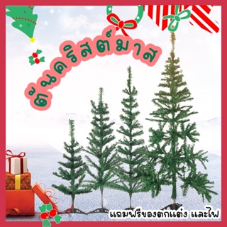 ต้นคริสต์มาส 🎄 Christmas Tree  แถมฟรี‼️ ไฟและของตกแต่งน่ารักๆ มากมาย ต้นคริสต์มาส ตกแต่งบ้าน ตกแต่งสถานที่ งานปาร์ตี้ 🎄✨