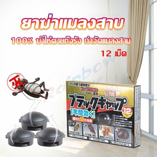 Rainbow กำจัดแมลงสาบยกรัง 100% ขนาด 12 เม็ด Pest Control